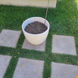 Beige Planter Pot