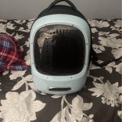 Cat Backpack 