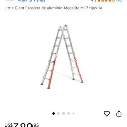 Little Giant Ladder Type 1A