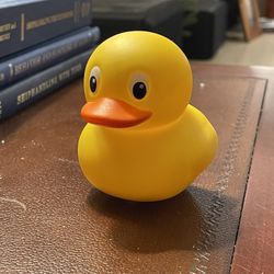 Greatest Rubber Ducky EVER!!!!! Light Up