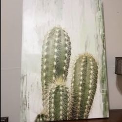 Massive Canvas Print Cacti
