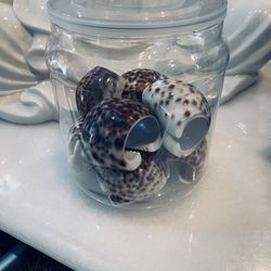 Natural Shell Napkin Rings 