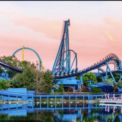 SEAWORLD 1 day entry