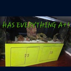 Best FISHHERE. AQUARIUM complete Set Up ALL Here.