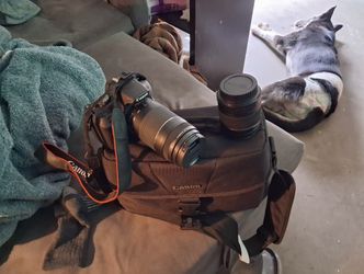 Canon rebel t7