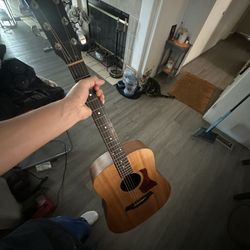 Taylor Guitar 