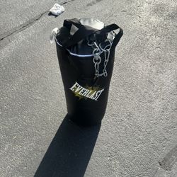 Punching bag for sale