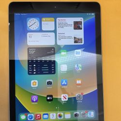 iPad 5th Gen, 32 GB with WiFi 