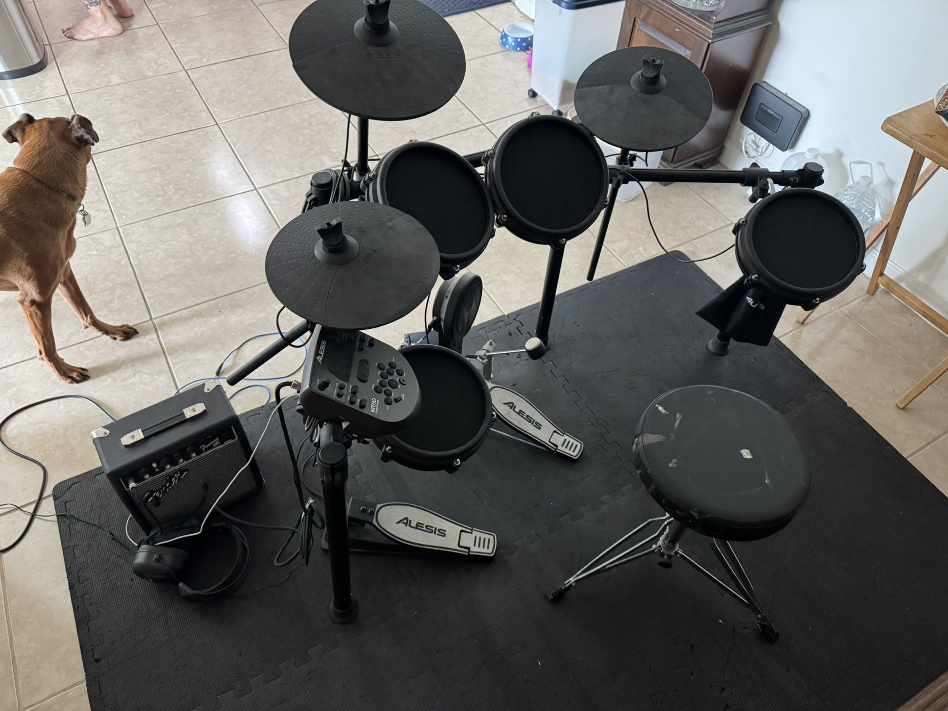 Alesia Electric Drum Kit