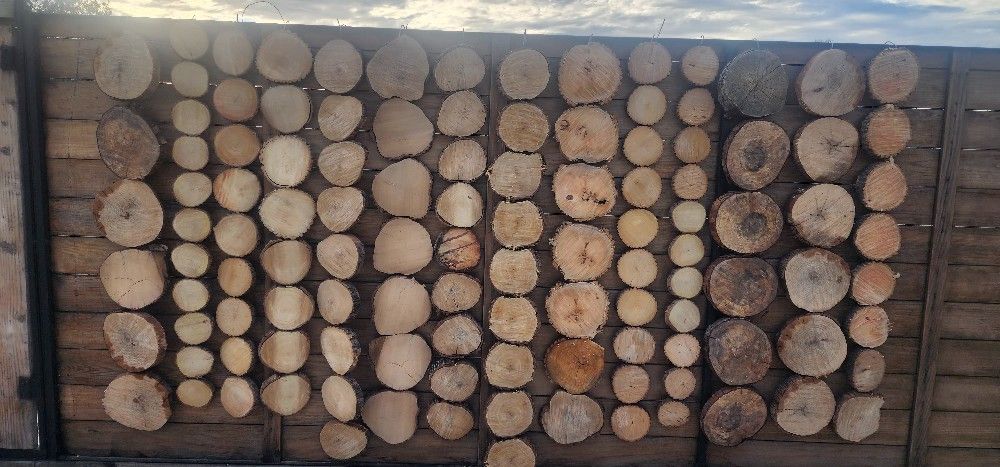 1" Thick Custom wood slices 4"-14"