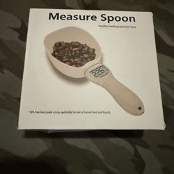 Measuring Spoon