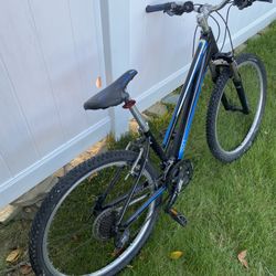 Giant Woman’s/Girls Bike 
