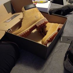 Timberlands Size 10s