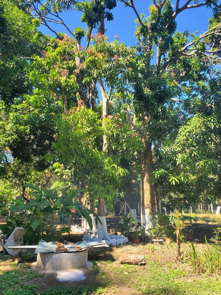 Terreno En Venta, San JULIAN, SONSONATE EL.SALVADOR