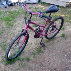 Murray 10 speed 24in Girls Bike