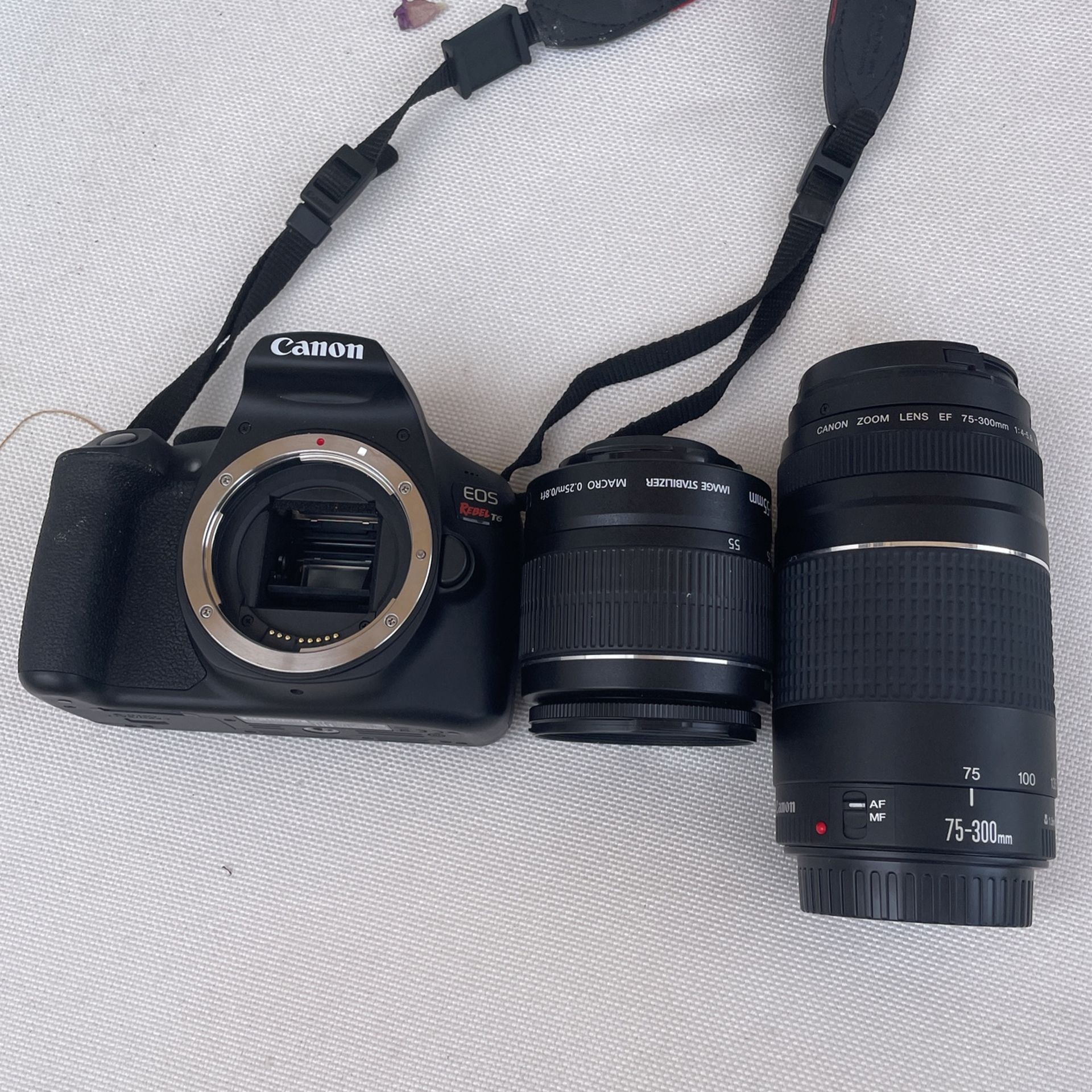 Canon Rebel T6 Camera Set