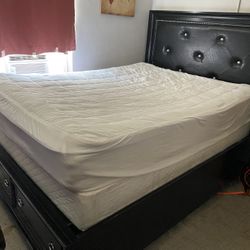 Queen Bed