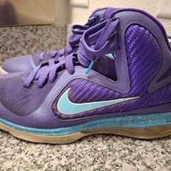 Nike LeBron 9 Summit Hornets 