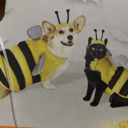Pet Bee Set Of Vest And Headpiece Different Size Available 