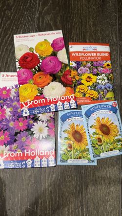 Flower Growing Seeds