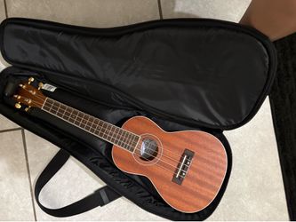 Ukelele and case