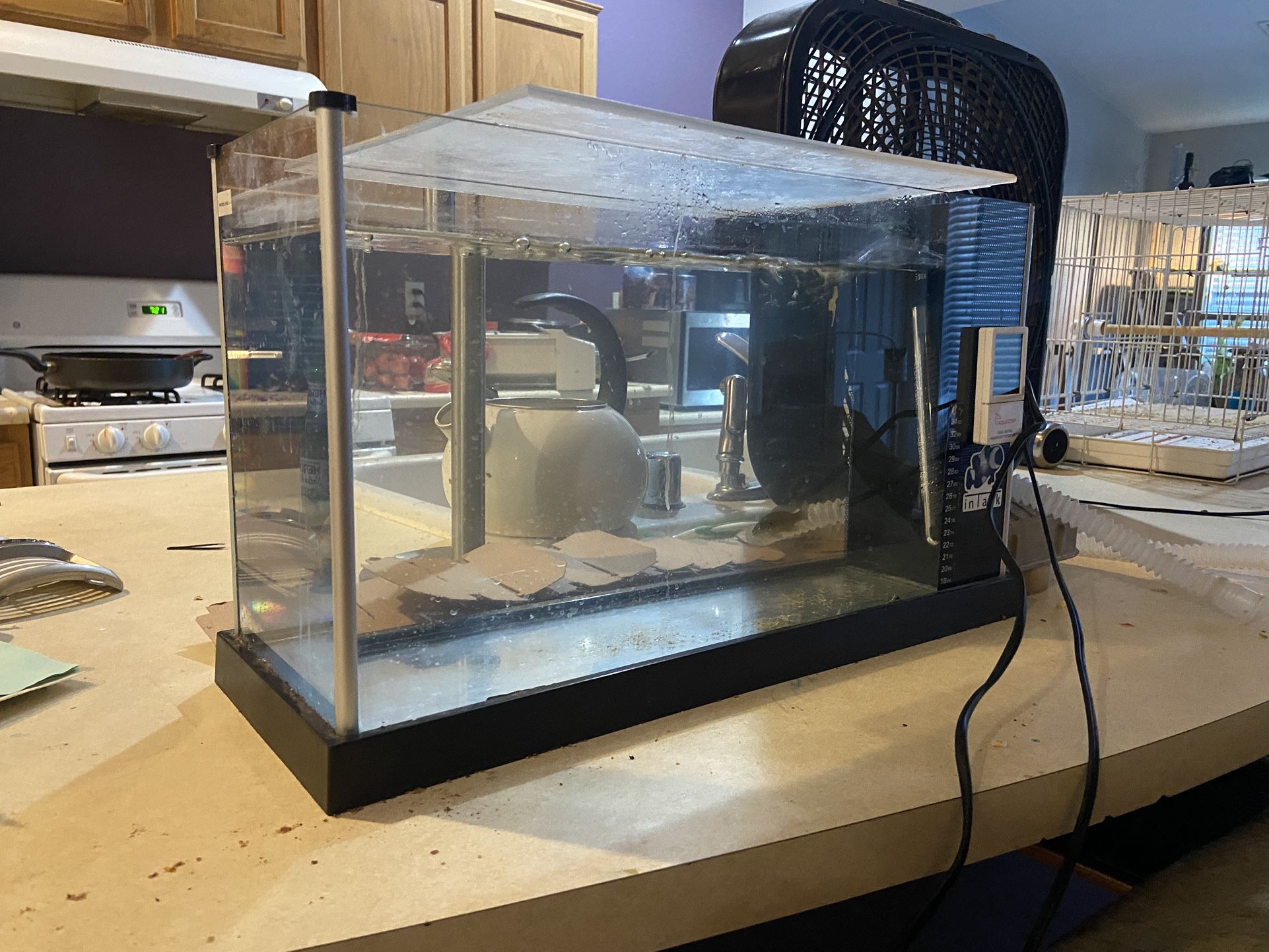 Fish Tank