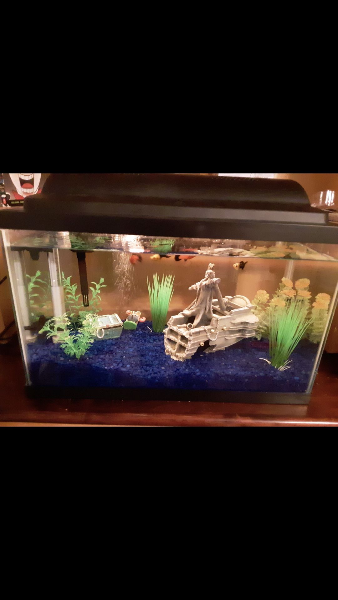 Aquarium