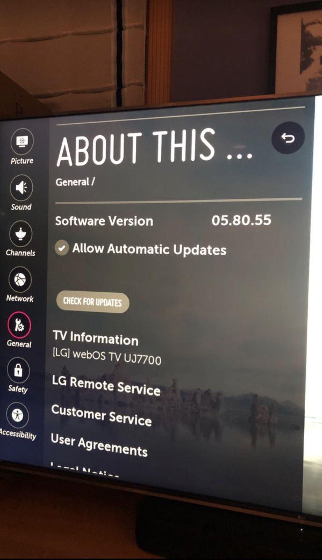 LG 65 Inch TV 4K