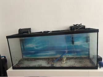 55 gallon fish tank