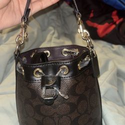 Coach Mini Bucket Bag