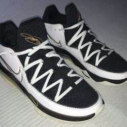 LEBRON 17 NIKE LOW. (make a offer)