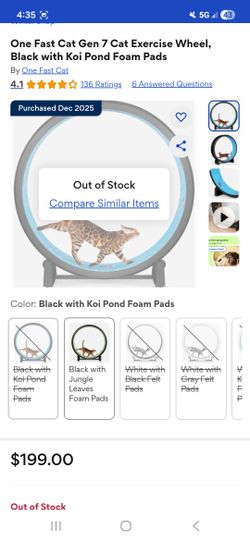 Brand New One Fast Cat