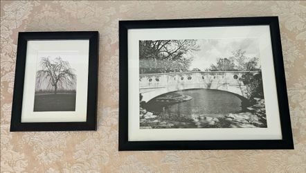 Black and White Framed Prints