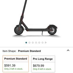 Electric Scooter