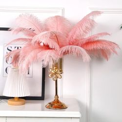 Ostrich Feathers/Decor