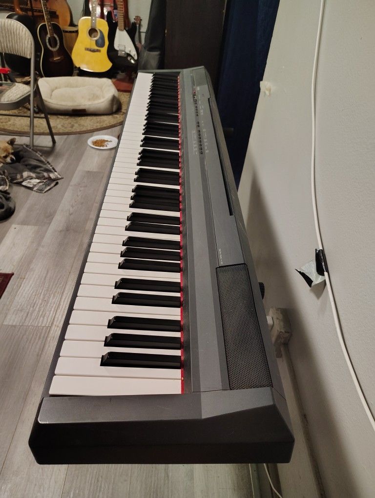 Yamaha P-105