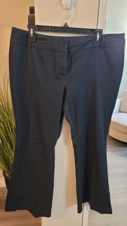 Dark Wash Flare Leg Pants Size 14P