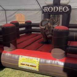 Bull Rodeo