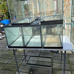 Aquarium Tanks And Canister Filter 