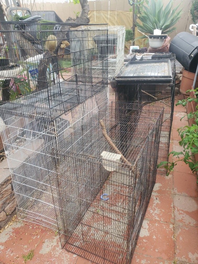 Bird Cages for Sale in San Diego, CA - OfferUp