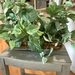 Artificial Plants