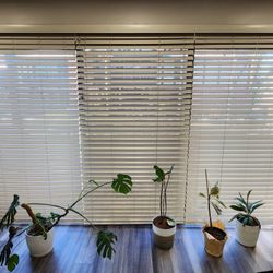 Blinds For Balcony Or Big Windows
