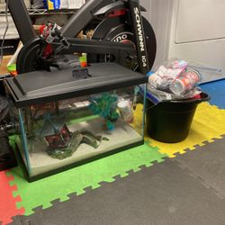 Ten Gallon Tank Set Up