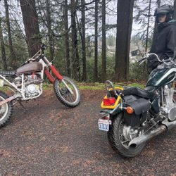 1984 Honda Xr250
