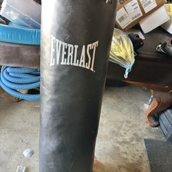 Everlast Heavy Bag