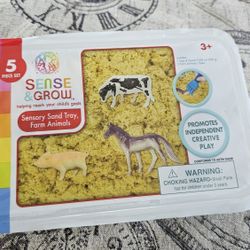 Sensory Toys For Kids