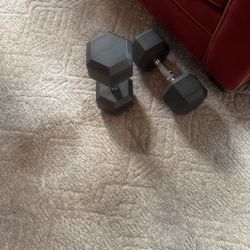 40 Pound Dumbbell 