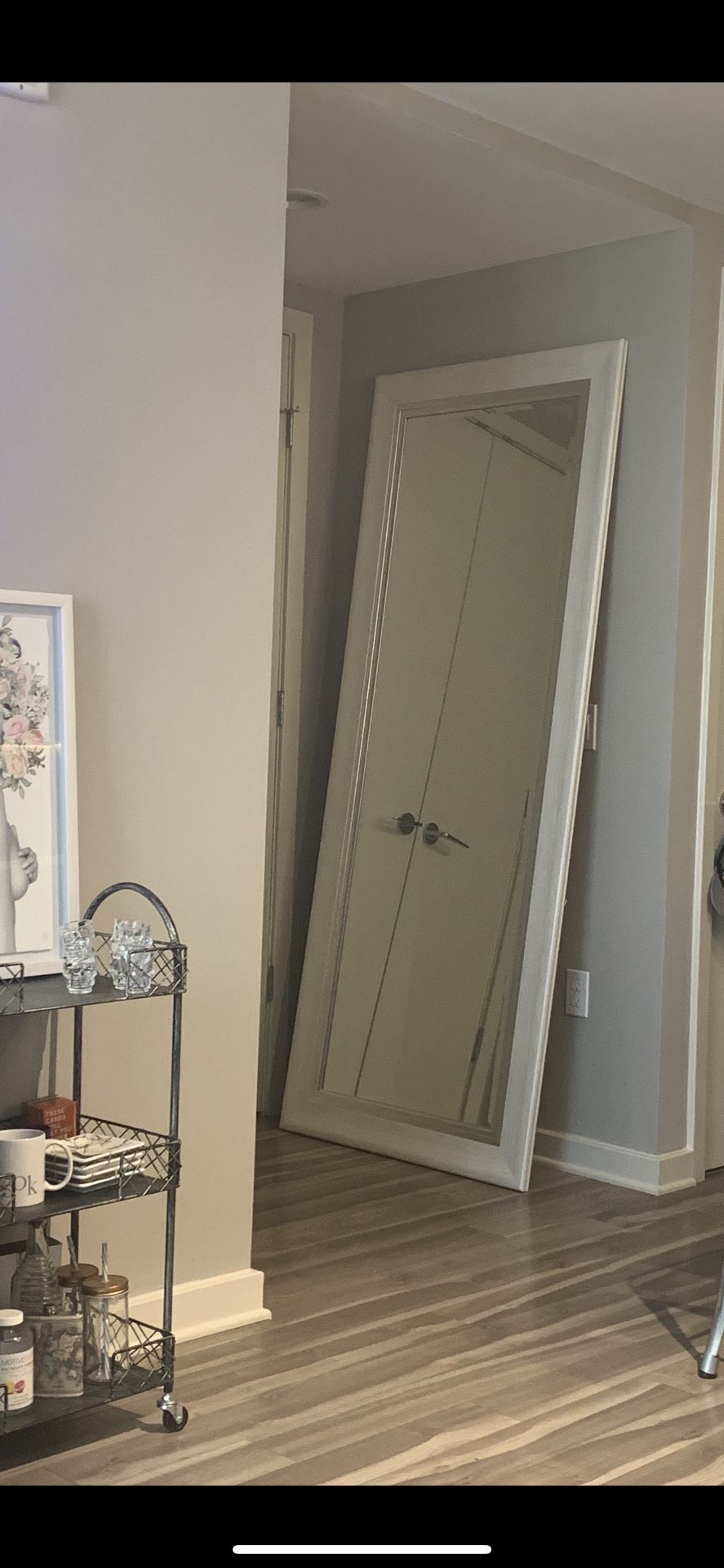 Large Mirror (floor or wall)
