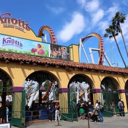 Knotts Berry Farm Knotts ticket 