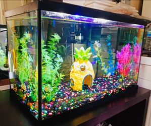 Bikini👙Beach Theme 10Gal Aquarium, Stand, alll Needed Accessories. Pecera de Bob Esponja completa.